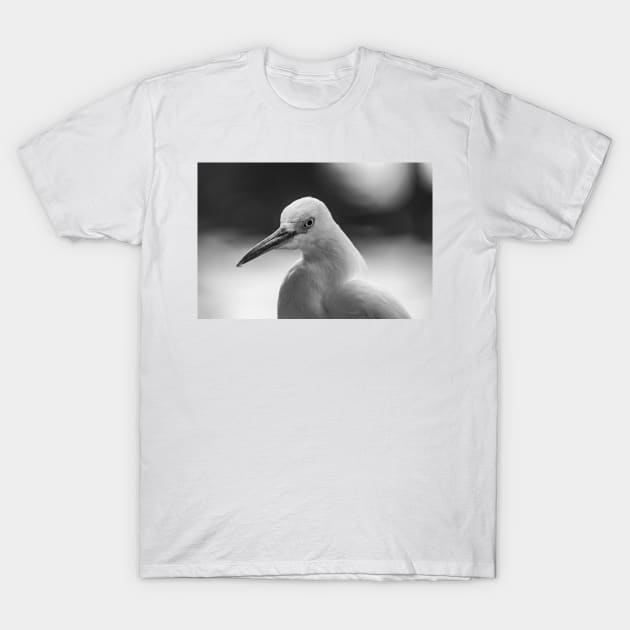 black and white  Snowy Egret T-Shirt by KensLensDesigns